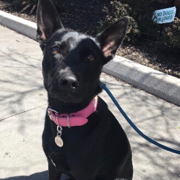 Meet your Posher, Kim - Picture 8 of 8